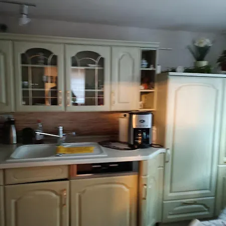 Haus Irene Appartement Berga  Buitenkant foto