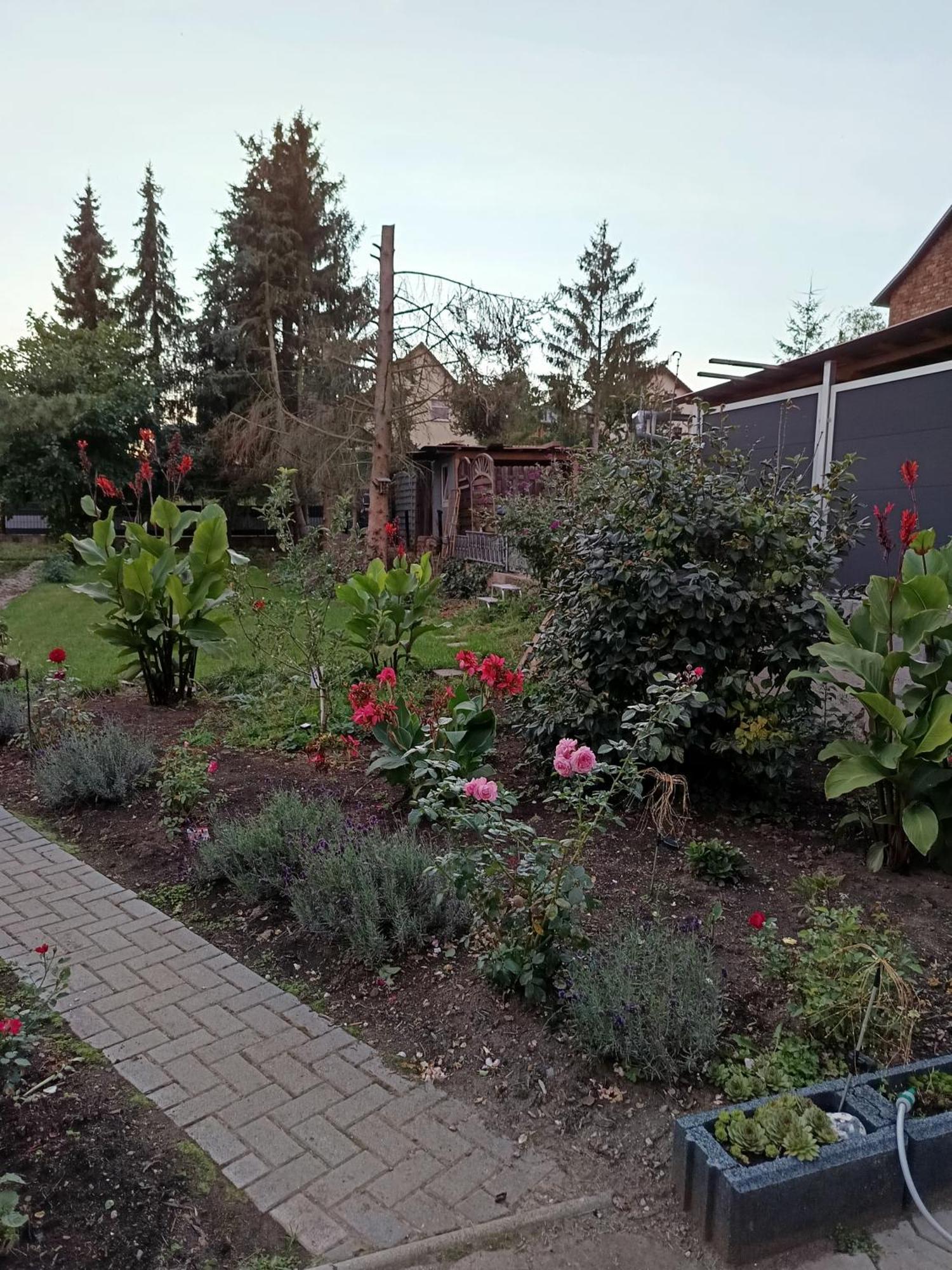 Apartment Haus Irene Berga (Saxony-Anhalt)